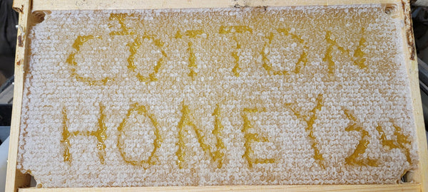 Cotton Honey Pure Raw Local