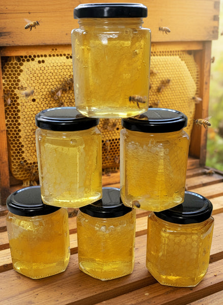 Chunk Honeycomb Wildflower Raw Local Texas